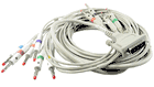 Schiller Resting EKG Cable (80132‑000) (2.400006)