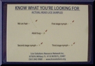 IDENTIFICATION CARD
