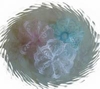 MINT GREEN LACE ROSETTE