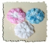 Rainbow CARNATION PETAL