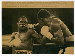 1982 Boxing DAVEY MOORE vs AYUB KALULE Vintage Photograph