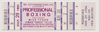1986 Mike Tyson vs. James "Quick" Tillis - Full Boxing Ticket - Glens Falls, NY (Pre-Champion Tyson)