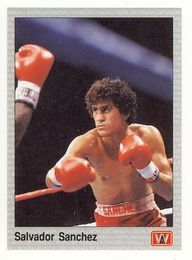 1991 AW All World Boxing Cards - Complete Factory Issued Box Set of 149 Cards 1991 AW All World Boxing Cards - Complete Factory Issued Box Set of 149 Cards