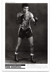 1993 PONE KINGPETCH Japan World Boxing Card Premium #137 FLYWEIGHT CHAMPION