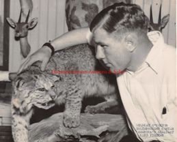 c. 1930's Boxing WILDCAT O'CONNOR Vintage Photograph WELTERWEIGHT Scranton, PA
