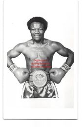 c. 1983 LEROY HALEY Vintage Boxing Photograph JR. WELTERWEIGHT CHAMPION Arkansas
