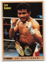 Leo Gamez - 1999 Japan World Boxing Card