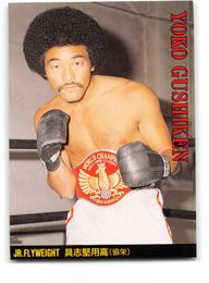 Yoko Gushiken - 1996 Japan World Boxing Card