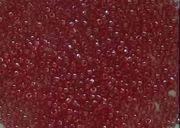 15-5C - TR Ruby