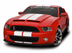 10-14 GT500 Type 4 Ram Air Hood