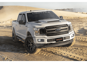 15-20 F150 Stalker Hood