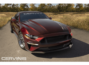 2018-2023 Cobra R Hood