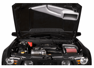 Ram Air - Cold Air Intake Combo Kit, Carbon Fiber