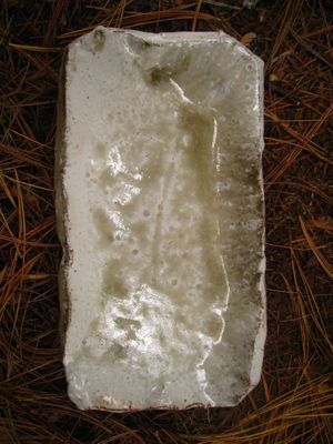 Rectangular Soy Plate #4