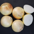 Sweet Onion
