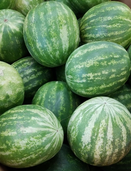 Watermellon
