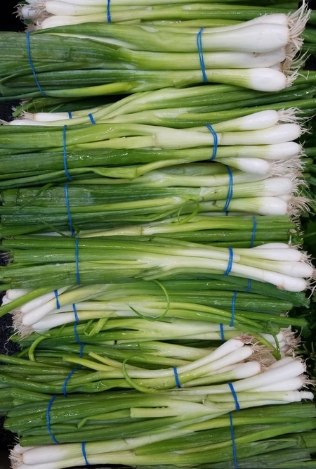 Green Onion