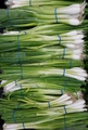 Green Onion