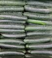 Cucumber