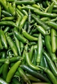 Jalapino