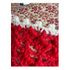 Red with White Accents Civil War Victorian Crochet Shawl 8