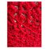 Red with White Accents Civil War Victorian Crochet Shawl 8