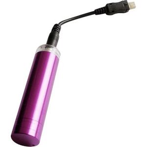Garmin eTrex 22x AA Emergency Charger