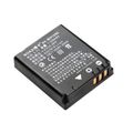 LEICA D-LUX 4 Replacement Battery