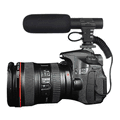 Panasonic Lumix DMC-GX85 DMC-GX80 Recording Microphone