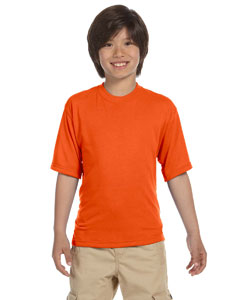 21B Jerzees Youth 5.3 oz., 100% Polyester SPORT with Moisture-Wicking T-Shirt