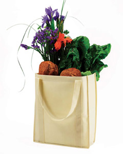 Econscious Non-Woven Grocery Tote. EC8075