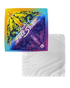 Liberty Bags Sublimation Triangle Bandana. PSB2121