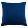 Accentuate 18 Inch Performance Velvet Throw Pillow in Navy Blossom