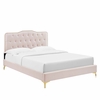 Amber Tufted Performance Velvet Twin Platform Bed in Pink