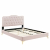 Amber Tufted Performance Velvet Twin Platform Bed in Pink