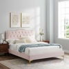 Amber Tufted Performance Velvet Twin Platform Bed in Pink