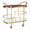 Antalya Bar Cart in Multicolor