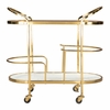 Antalya Bar Cart in Multicolor