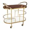 Antalya Bar Cart in Multicolor