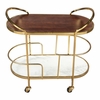 Antalya Bar Cart in Multicolor