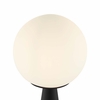 Apex Glass Globe Glass Table Lamp in White Black