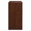 Appia 2-Door Arched Door Storage Cabinet in Walnut