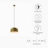 Avenue 1-Light Pendant Light in Satin Brass