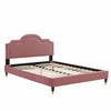 Aviana Performance Velvet King Bed-MOD-6839 in Dusty Rose
