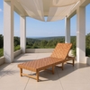 Breath Chaise Lounge in Brown