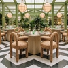 Brim Dining Table in Natural