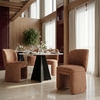 Citrine Dining Chair Set of 2 in Biscuit Brown