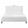 Clara Performance Velvet Queen Platform Bed-MOD-6593