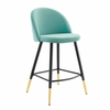Cordial Performance Velvet Counter Stools - Set of 2 in Mint