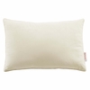 Enhance 18 Inch Lumbar Performance Velvet Throw Pillow in Ivory